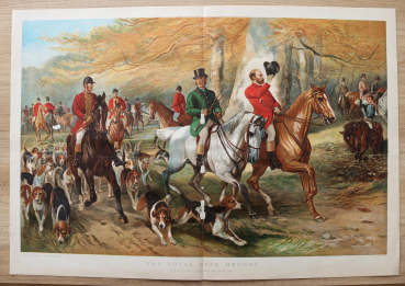Lithographie Bouverie Goddard 1885 Königliche Hirschjagd Hunde